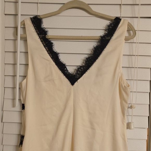 Anthropologie Cream and Black Sleeveless Midi Dress - Picture 8 of 13